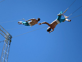 Gorilla Circus Flying Trapeze